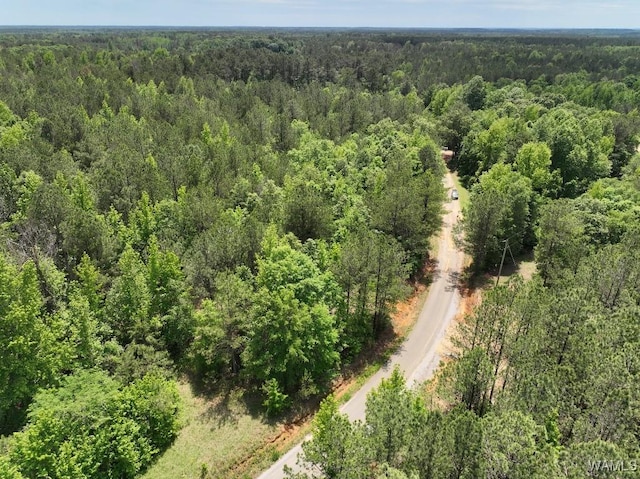 0 Yorkville Rd, Ethelsville, AL 35461 - photo 7