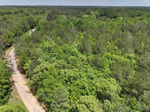 0 Yorkville Rd, Ethelsville, AL 35461 - photo 9