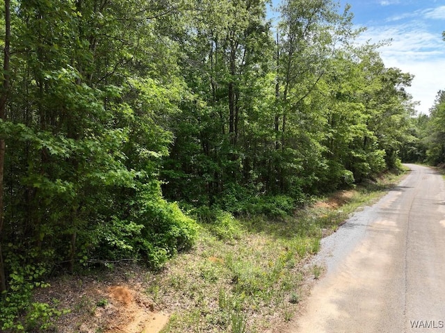 0 Yorkville Rd, Ethelsville, AL 35461 - photo 13