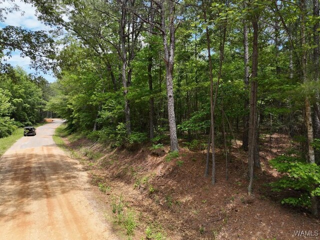 0 Yorkville Rd, Ethelsville, AL 35461 - photo 12