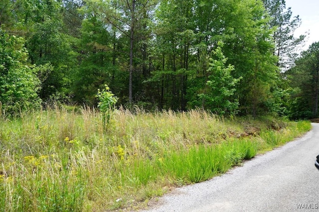 0 Yorkville Rd, Ethelsville, AL 35461 - photo 21