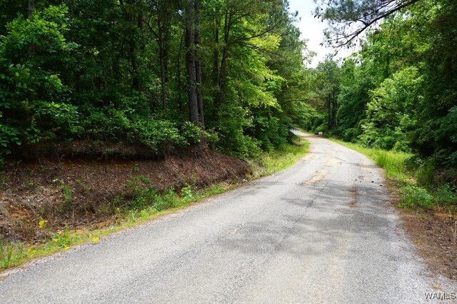 0 Yorkville Rd, Ethelsville, AL 35461 - photo 18