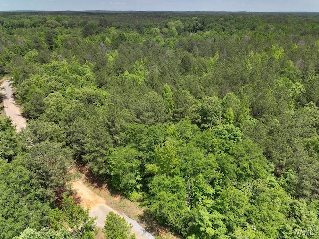 0 Yorkville Rd, Ethelsville, AL 35461 - photo 6