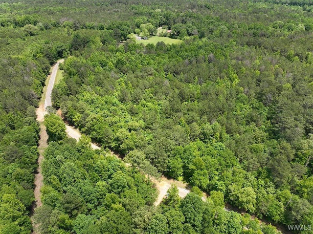 0 Yorkville Rd, Ethelsville, AL 35461 - photo 1