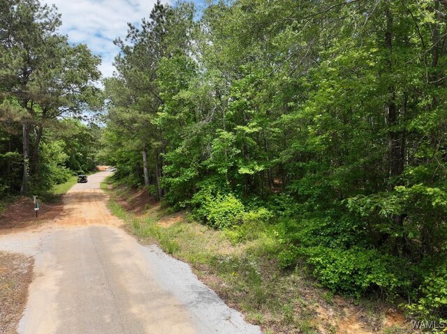0 Yorkville Rd, Ethelsville, AL 35461 - photo 11
