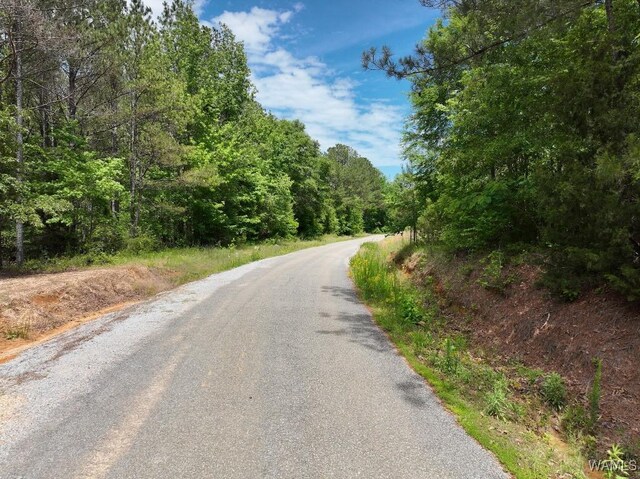 0 Yorkville Rd, Ethelsville, AL 35461 - photo 15