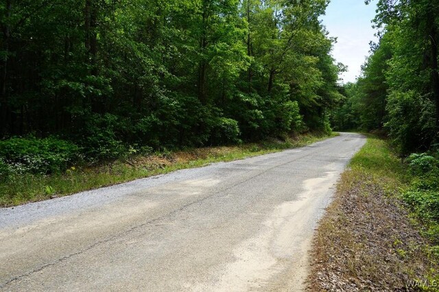 0 Yorkville Rd, Ethelsville, AL 35461 - photo 17