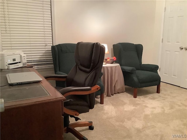 view of carpeted home office