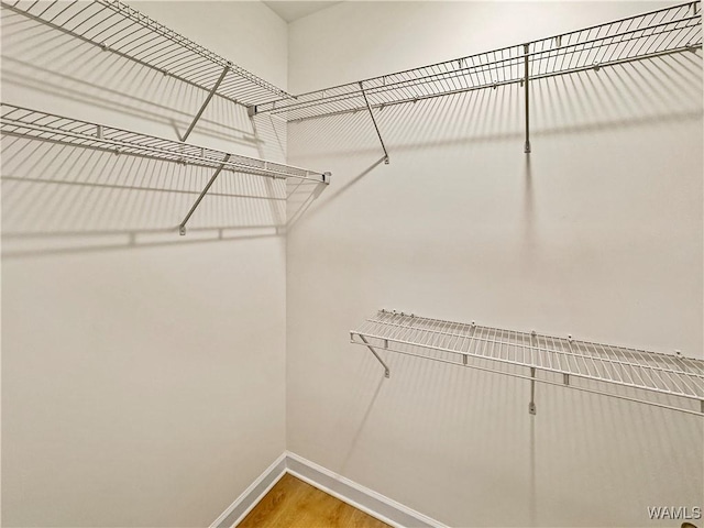 spacious closet featuring hardwood / wood-style flooring