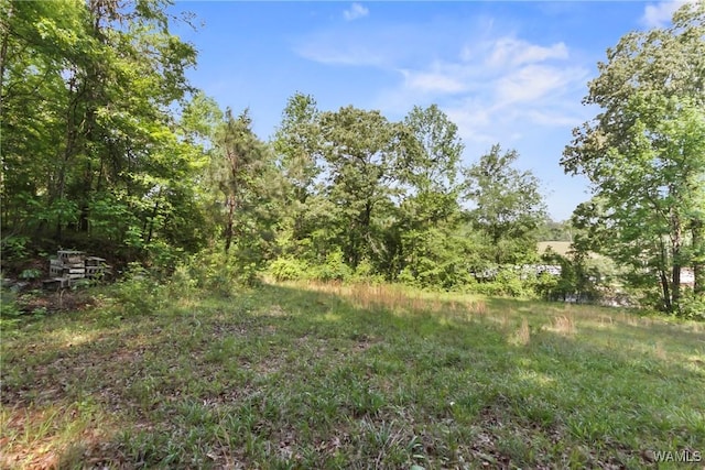 2138 Montevallo Rd, Centreville, AL 35042 - photo 31