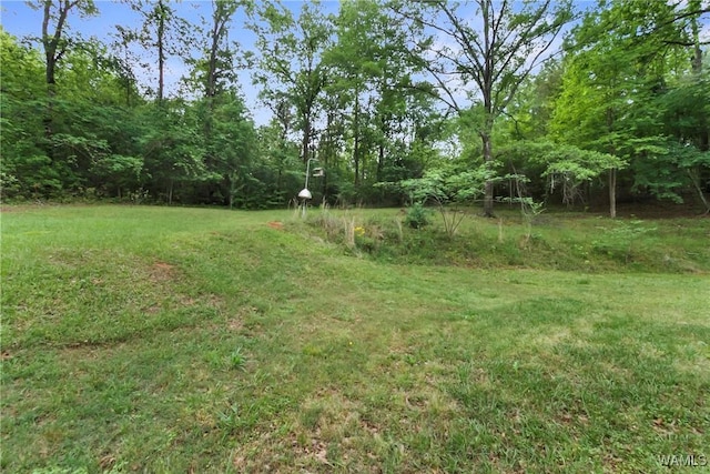 2138 Montevallo Rd, Centreville, AL 35042 - photo 24