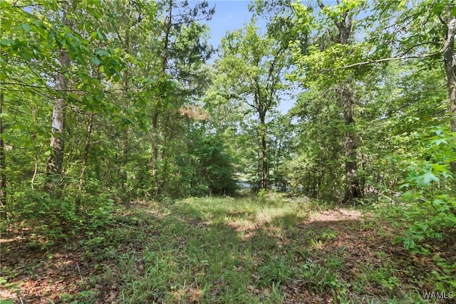 2138 Montevallo Rd, Centreville, AL 35042 - photo 32