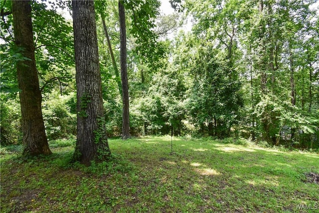 2806 Sunset Dr NE, Tuscaloosa, AL 35404 - photo 37
