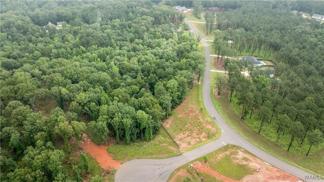 14256 Watercolor Dr, Northport, AL 35475 - photo 20