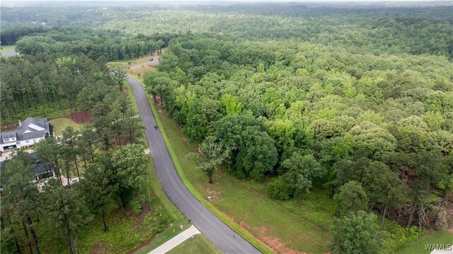 14256 Watercolor Dr, Northport, AL 35475 - photo 8