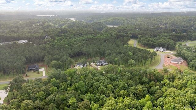 14256 Watercolor Dr, Northport, AL 35475 - photo 11