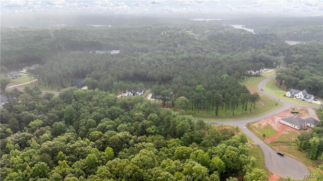 14256 Watercolor Dr, Northport, AL 35475 - photo 12