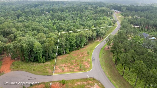 14256 Watercolor Dr, Northport, AL 35475 - photo 1