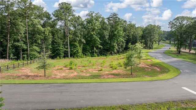 14256 Watercolor Dr, Northport, AL 35475 - photo 14