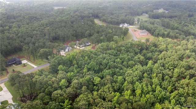 14256 Watercolor Dr, Northport, AL 35475 - photo 10