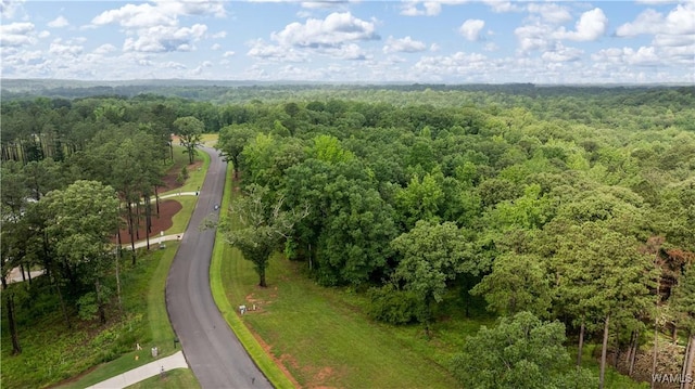 14256 Watercolor Dr, Northport, AL 35475 - photo 6