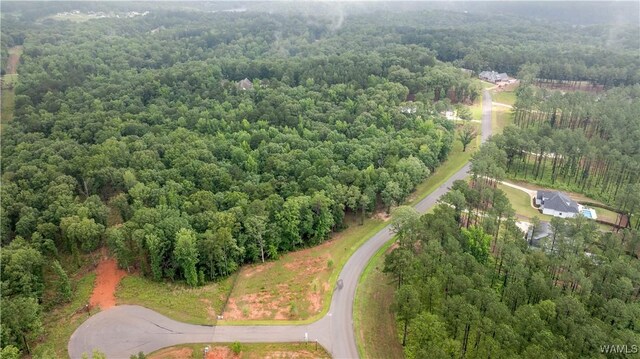 14256 Watercolor Dr, Northport, AL 35475 - photo 19