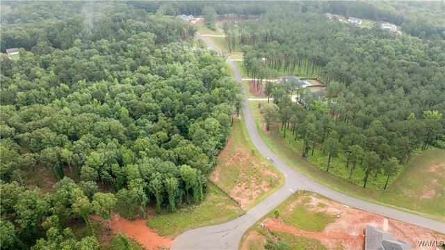 14256 Watercolor Dr, Northport, AL 35475 - photo 22