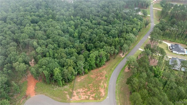 14256 Watercolor Dr, Northport, AL 35475 - photo 23