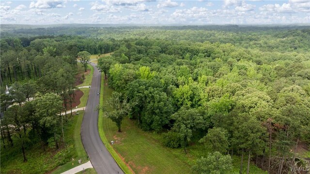 14256 Watercolor Dr, Northport, AL 35475 - photo 9