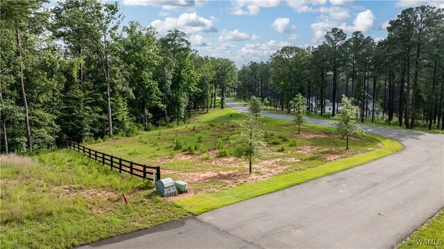 14256 Watercolor Dr, Northport, AL 35475 - photo 16