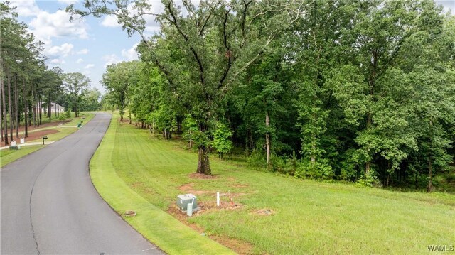 14256 Watercolor Dr, Northport, AL 35475 - photo 4