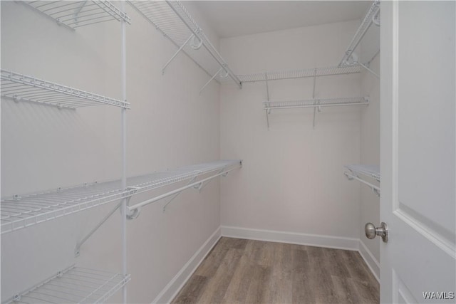 spacious closet with wood finished floors