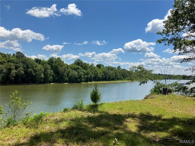 water view featuring a forest view