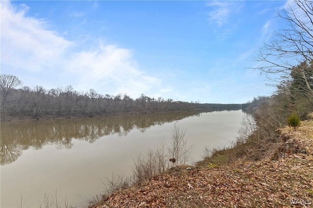 water view featuring a wooded view