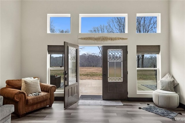 doorway with a high ceiling, a wealth of natural light, and wood finished floors