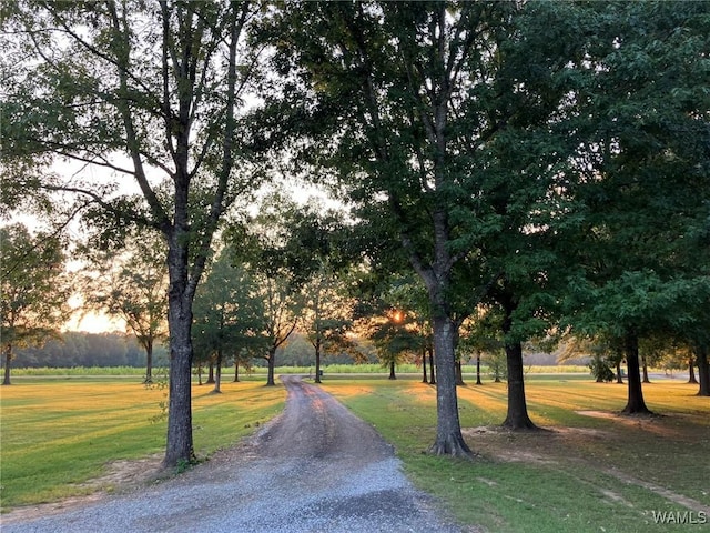 view of home's community featuring a lawn