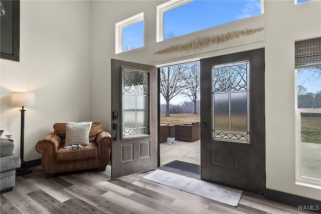 entryway featuring wood finished floors, a towering ceiling, and a healthy amount of sunlight