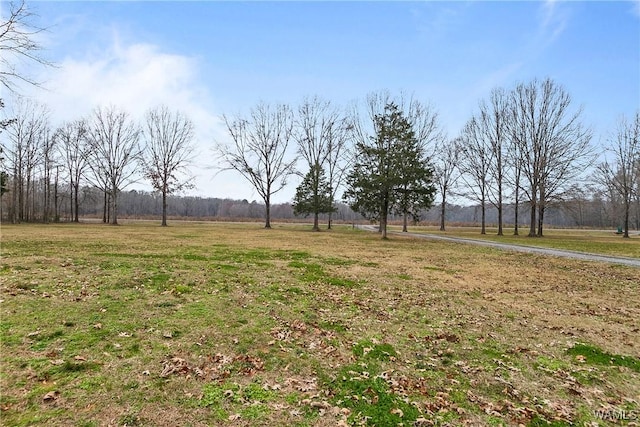 view of yard featuring a rural view