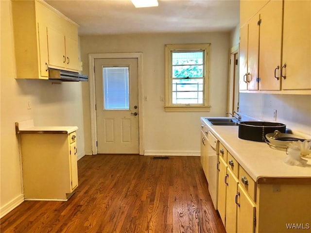 kitchen featuring dark hardwood / wood-style floors, white cabinetry, and sink