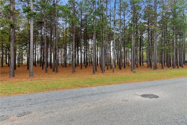 Listing photo 3 for LOT28 Cypress Point Dr, Akron AL 35441