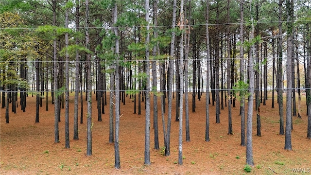 Listing photo 2 for LOT28 Cypress Point Dr, Akron AL 35441