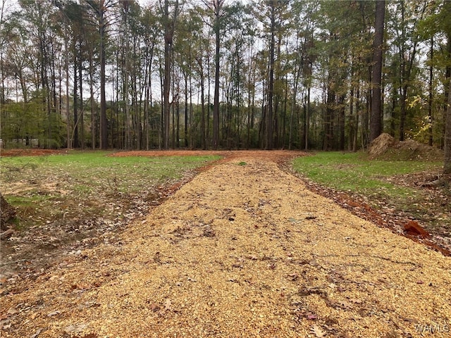 259 Pinecrest Ln, Pickensville, AL 35447