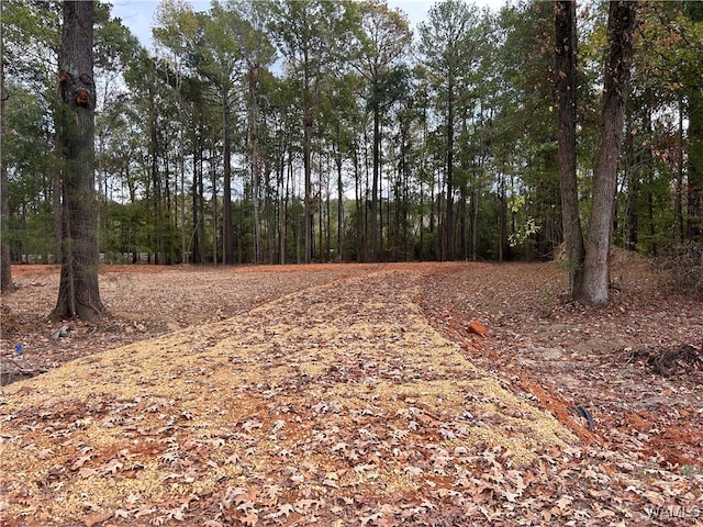 259 Pinecrest Ln, Pickensville AL, 35447 land for sale