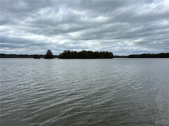 259 Pinecrest Ln, Pickensville, AL 35447