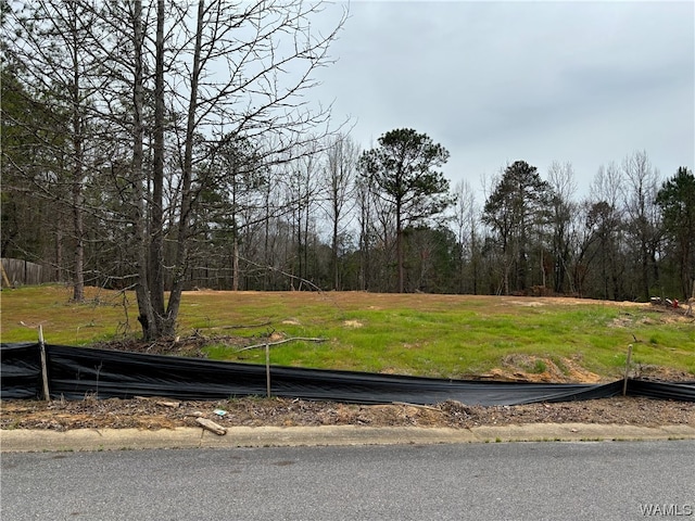 0 River Point Ln, Tuscaloosa AL, 35405 land for sale