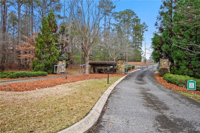 view of street with a gate