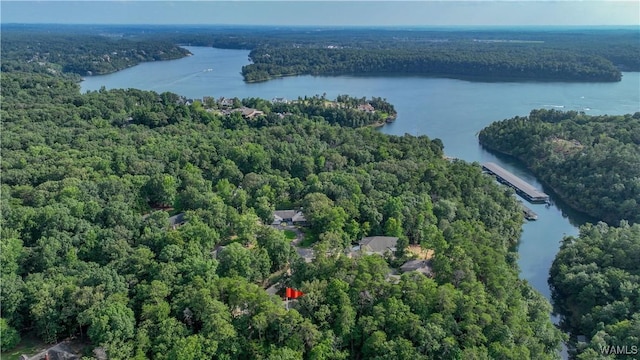 birds eye view of property featuring a view of trees and a water view