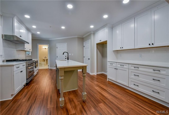 kitchen featuring a sink, dark wood finished floors, under cabinet range hood, and high end stainless steel range