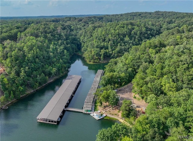 birds eye view of property with a forest view and a water view