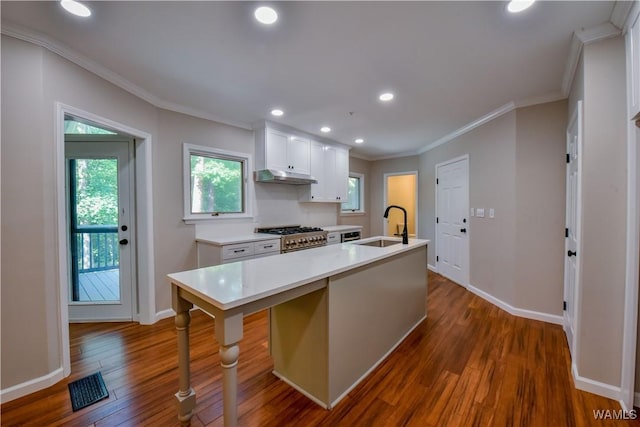 kitchen featuring dark wood-style flooring, high end stainless steel range, visible vents, and a sink